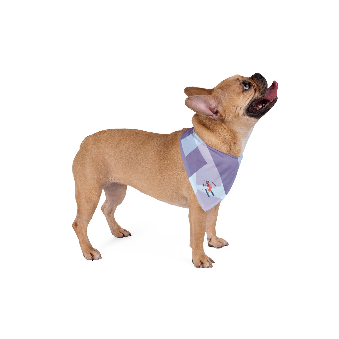 Skilantia Dog Bandana