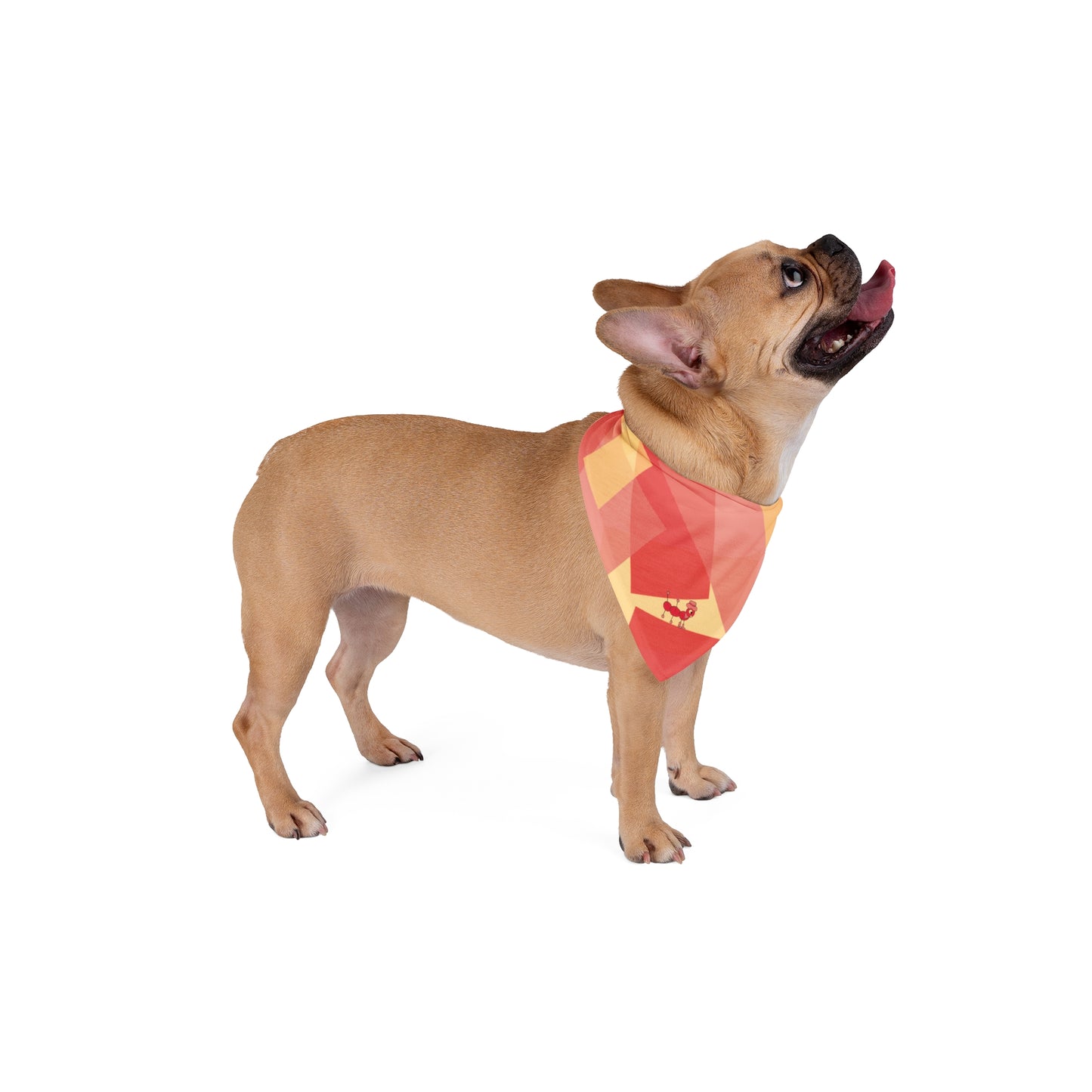 Mischievous Dog Bandana